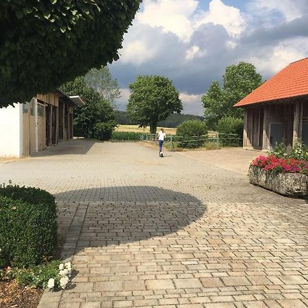 Ferienwohnung Baumgartner Ursensollen Eksteriør bilde